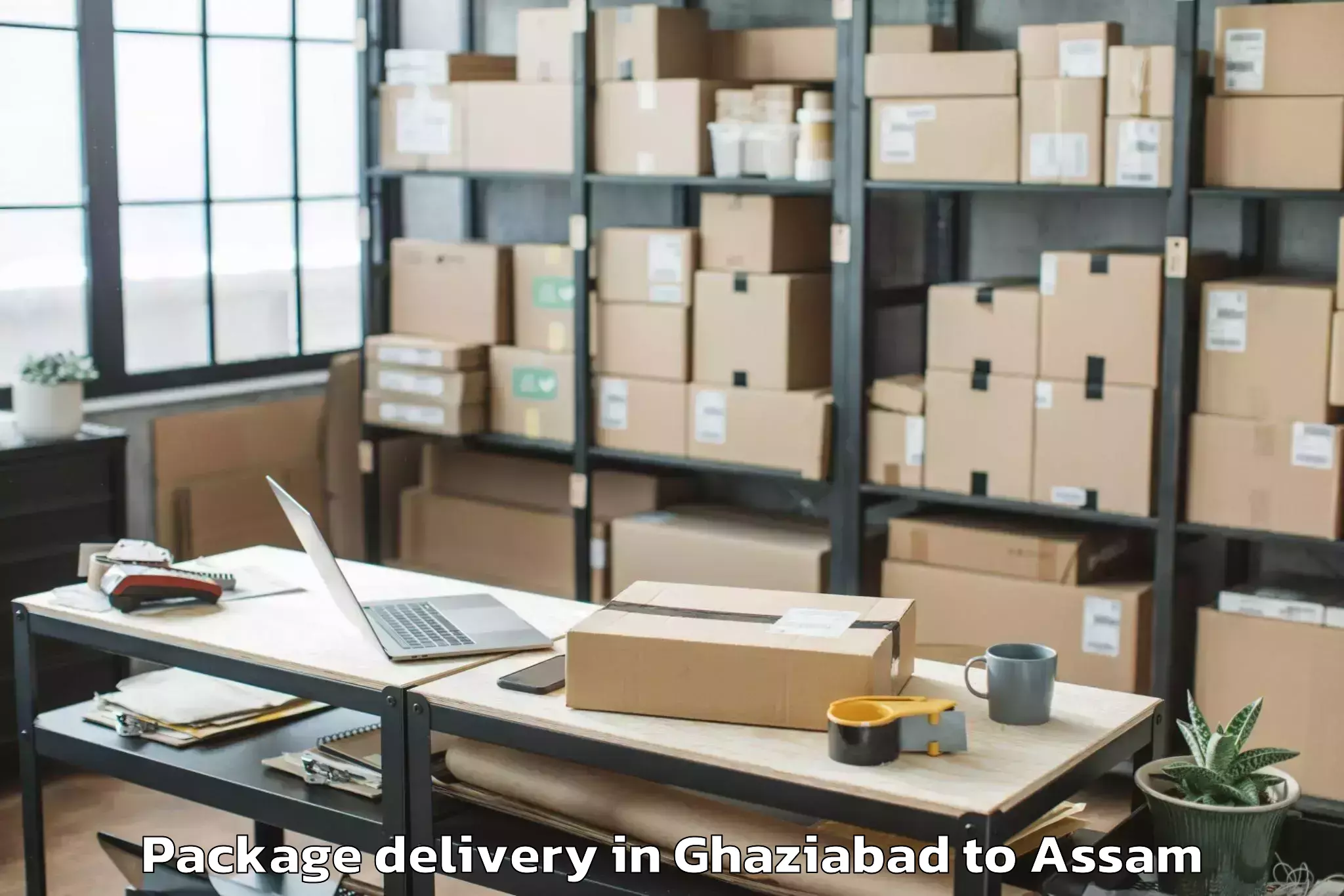 Hassle-Free Ghaziabad to Palasbari Package Delivery